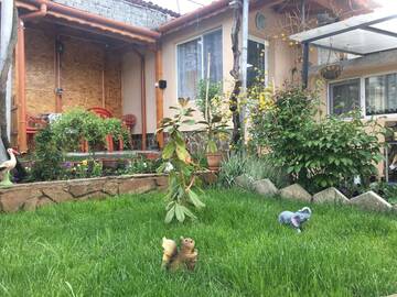 Фото номера Трехместный номер эконом-класса Гостевой дом Guest House Pri Germanetsa г. Павел-Баня 7